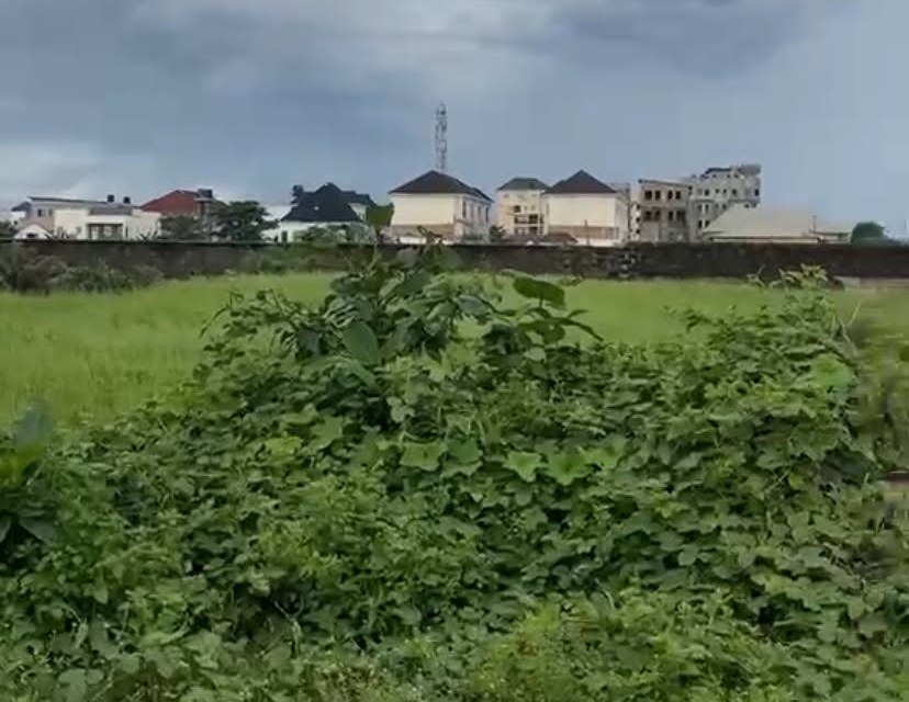 700 sqm beachside land plot at View Estate, Chevron, Lagos, with perimeter wall and neighbouring residential estate